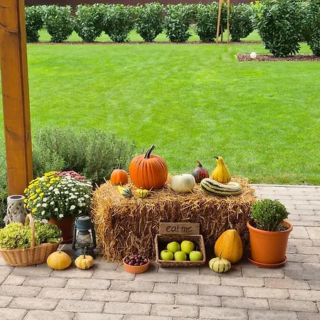 V53 بيت ضيافة