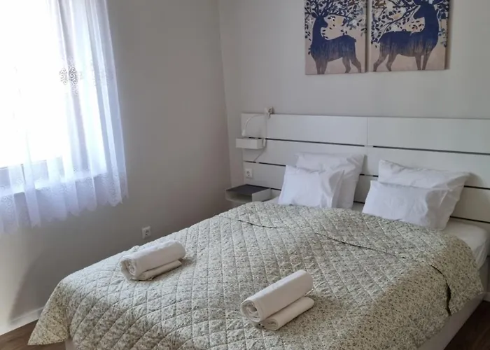 V53 ゲストハウス