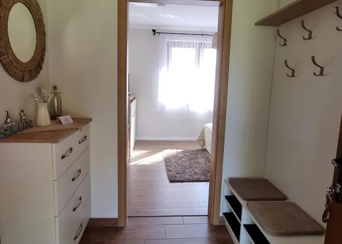 V53 シオーフォク